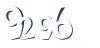Input this protected code