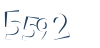 Input this protected code