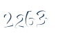 Input this protected code