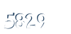 Input this protected code