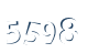 Input this protected code