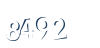 Input this protected code
