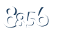 Input this protected code
