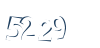 Input this protected code