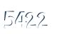 Input this protected code