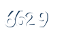 Input this protected code