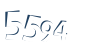 Input this protected code