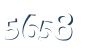 Input this protected code