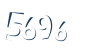 Input this protected code
