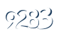 Input this protected code