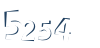 Input this protected code
