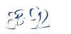 Input this protected code
