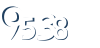 Input this protected code