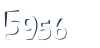 Input this protected code