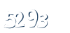 Input this protected code